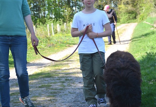 25-2025-photo-chien-enfant