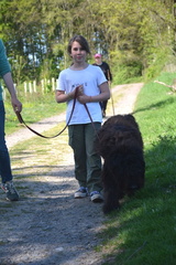 24-2025-photo-chien-enfant