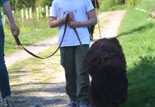 24-2025-photo-chien-enfant