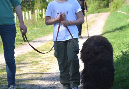 23-2025-photo-chien-enfant