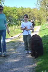 26-2025-photo-chien-enfant