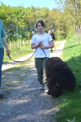 27-2025-photo-chien-enfant