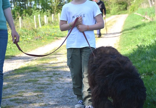 27-2025-photo-chien-enfant
