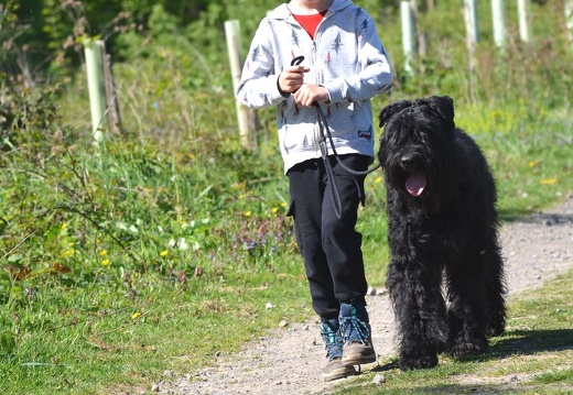 28-2025-photo-chien-enfant