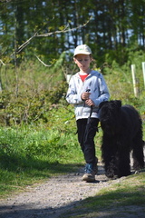 29-2025-photo-chien-enfant