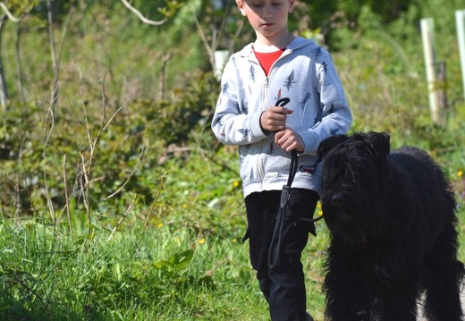 29-2025-photo-chien-enfant