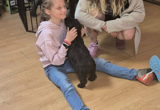 06-2026-stage-enfant-chien-pedadog-printemps