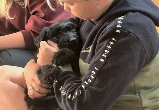 00-2026-stage-enfant-chien-pedadog-printemps