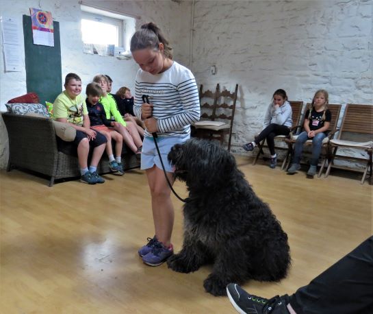 5_enfant_chien_pedadog_2019-07-08.jpg