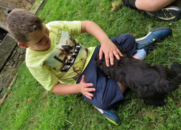 4_enfant_chien_pedadog_2019-07-08.jpg