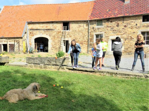 16 enfant chien pedadog 2019-07-09