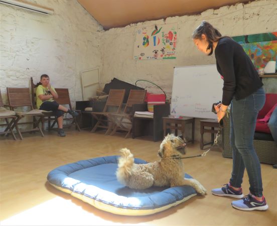 23_enfant_chien_pedadog_2019-07-09.jpg