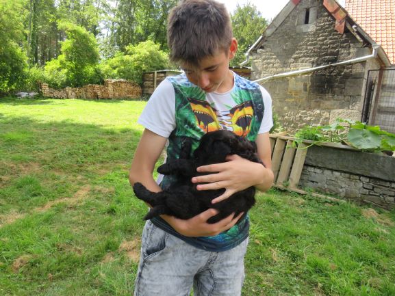 34 enfant chien pedadog 2019-07-09