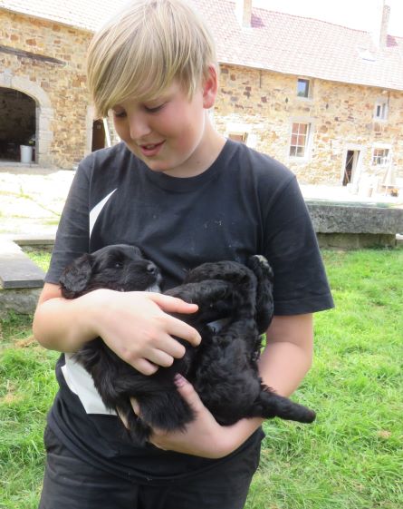 35_enfant_chien_pedadog_2019-07-09.jpg