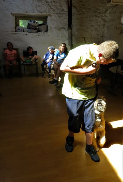 50 enfant chien pedadog 2019-07-10