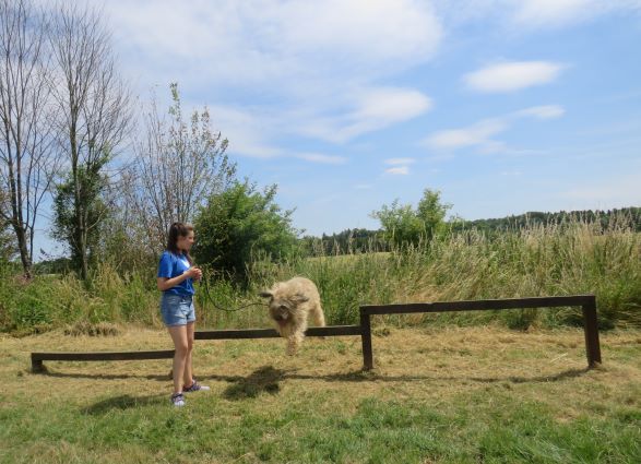 64 enfant chien pedadog 2019-07-10