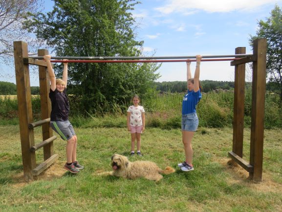 70 enfant chien pedadog 2019-07-10