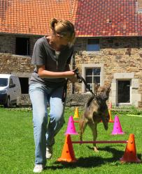 1766492350_stage-ado-chien-ptf.jpg stage-ado-chien-ptf.jpg