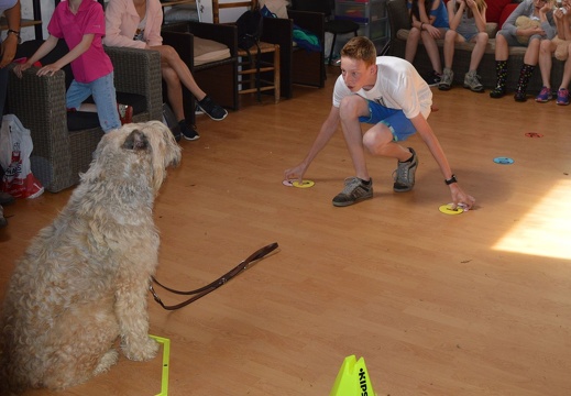 17 pedadog enfant chien stage juillet 2017 mercredi